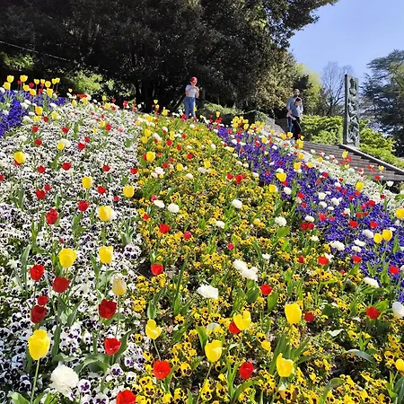 Rory House - קומו