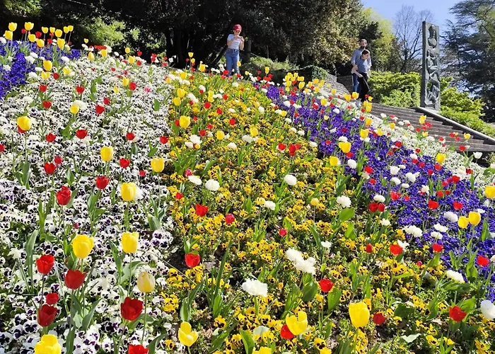 Rory House - קומו